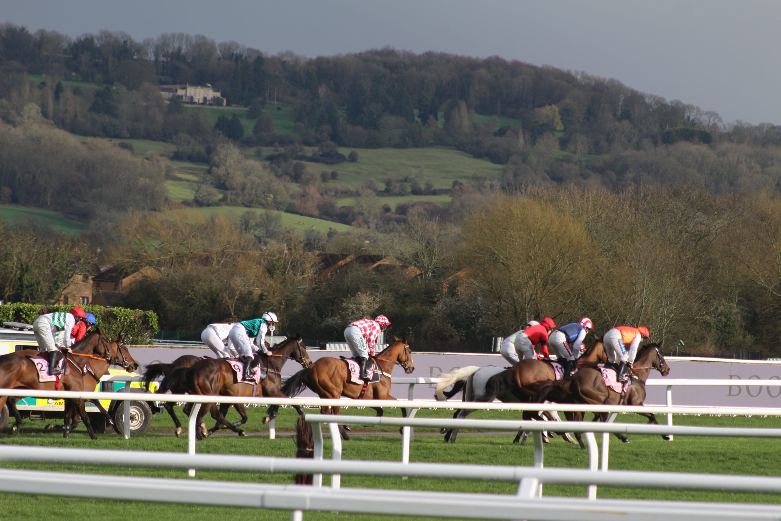 Horses and riders racing at Cheltenham Racecourse with crowds in the stands and Cleeve Hill behind